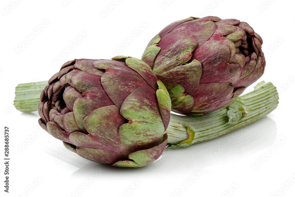 Fototapeta premium Fresh artichokes isolated on white background