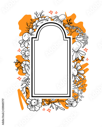 Arch frame with camomile flowers. Hand drawn sketch vector illustration black and yellow on white background. Design template for food and cosmetic package