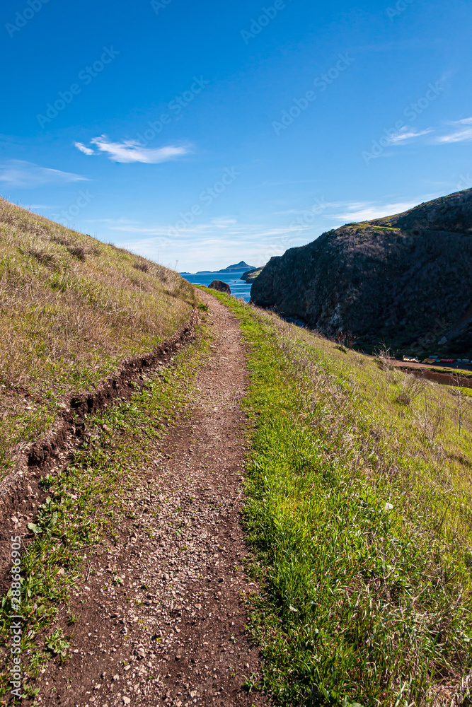 Path on the island of Santa Cruz