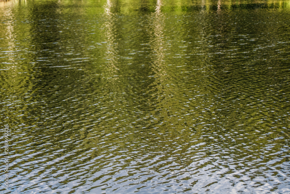 The texture of the water. Beautiful background. Lake in the forest. The texture of the water. Beautiful background. Lake in the forest.