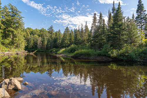 Nature Trees Stream Creek Water Summer Autumn