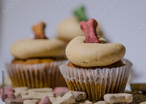 Dog Treat Baked Cup Cakes Bones Frosting