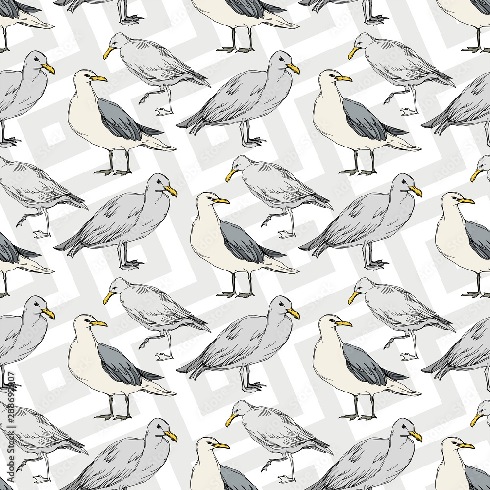 Obraz premium Sky bird seagull in a wildlife. Black and white engraved ink art. Seamless background pattern.