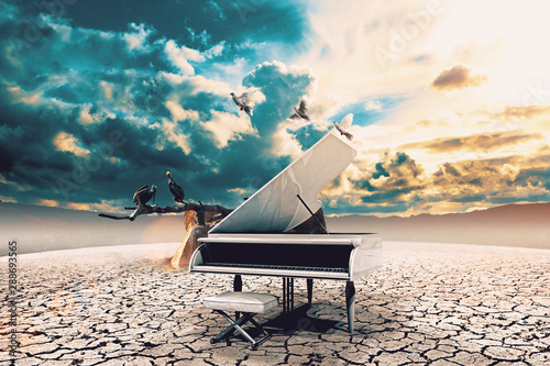 Piano in nature.Surreal image related to piano music,song and melody.Sunset and dry soil scenic landscape.Birds and cracked floor