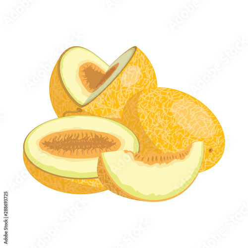 Cartoon melon. Juicy sliced fruit. Drawing for children. Illustration on white background.