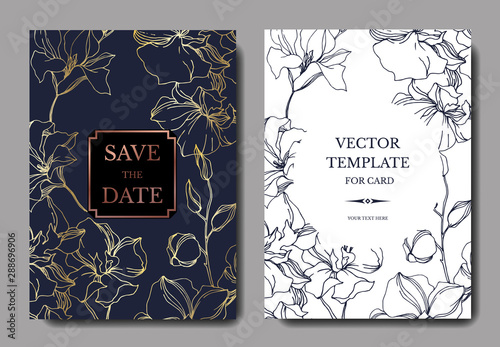 Vector Orchid floral botanical flowers. Black and white engraved ink art. Wedding background card decorative border.