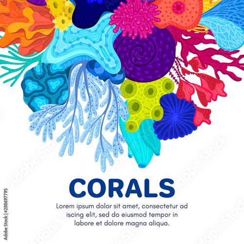 Vector composition of corals. Background with colorful sea or ocean life. Template for cover, invitation, banner, brochure, flyer, label, header. Advertising of water park, aquarium, marine exhibition