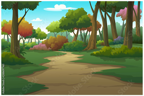 landscape forest daytime so beautiful.