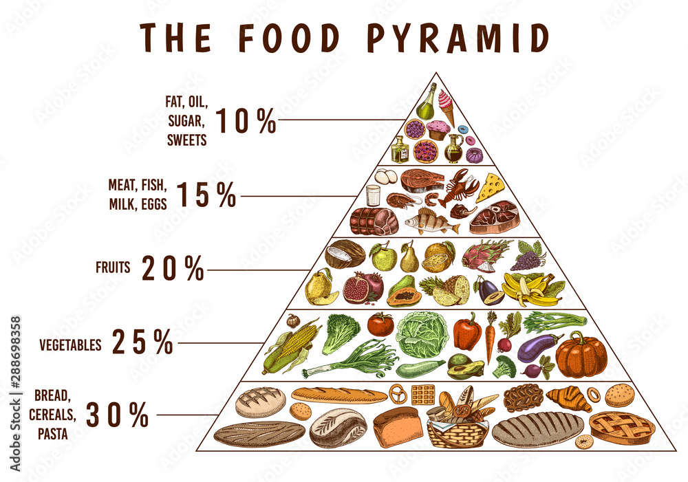 Healthy Food Plan Pyramid Infographics For Balanced Diet Percentage