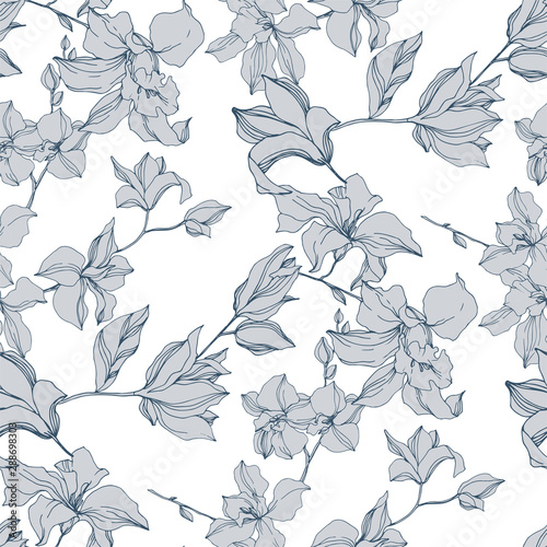 Vector Orchid floral botanical flowers. Black and white engraved ink art. Seamless background pattern.