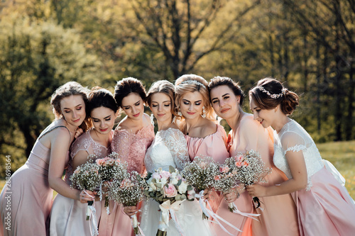 Valokuvatapetti Group portrait of bride and bridesmaids
