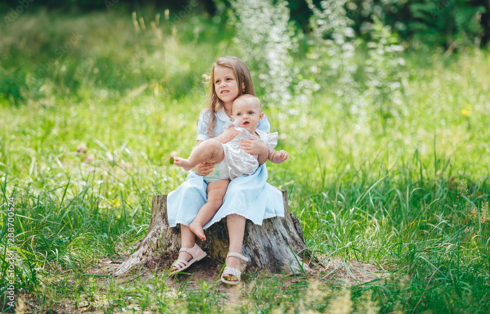 Two little sisters poses outdoors while sitting on wooden stump in summer forest.