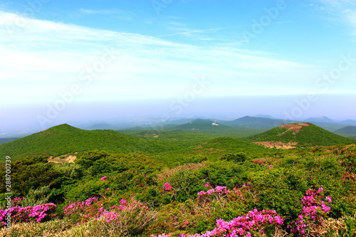 제주에 있는 한라산의 풍경이다. photo