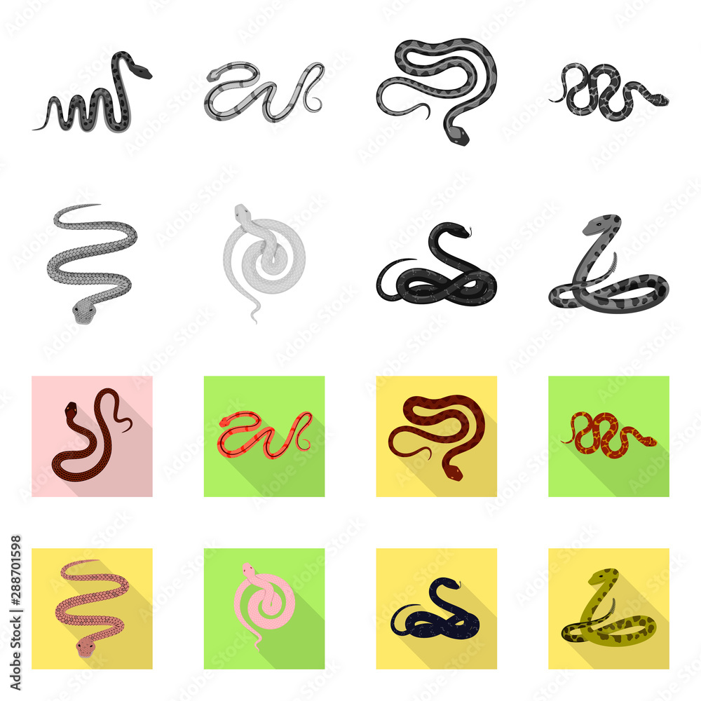 Isolated object of mammal and danger icon. Set of mammal and medicine stock symbol for web. Isolated object of mammal and danger icon. Set of mammal and medicine stock symbol for web.