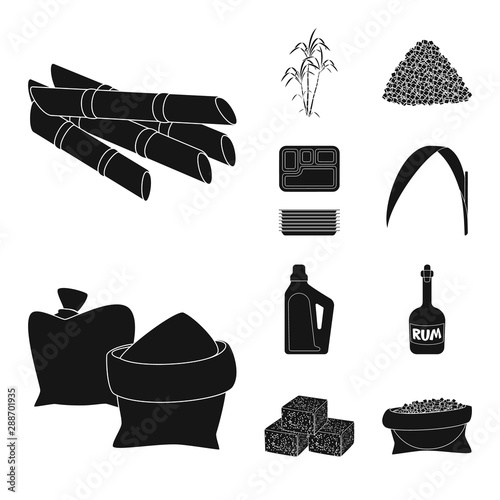 Vector illustration of sucrose and technology icon. Collection of sucrose and cane stock vector illustration.