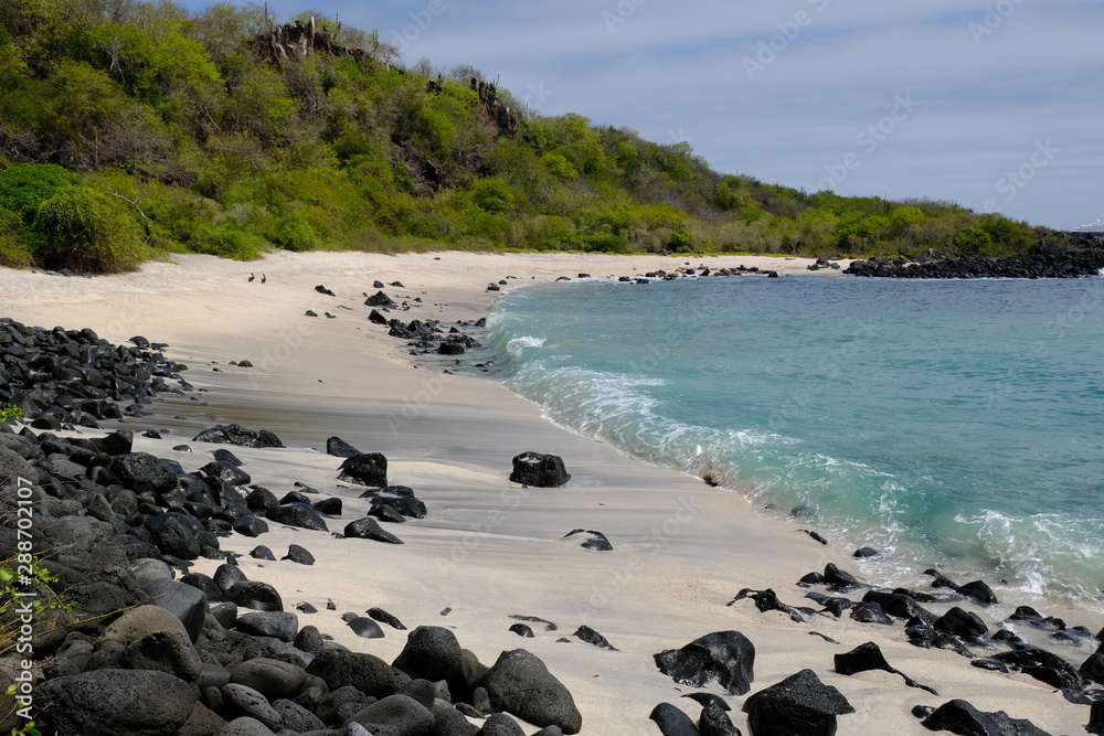 Ecuador Galapagos Island Isla Santa Cruz Playa Baquerizo Beach