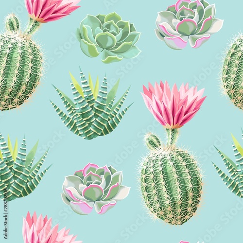 High detail succulent and cactus seamless pattern