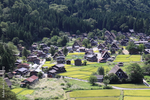 白川郷の合掌造り