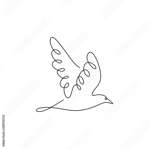 continuous line drawing of pigeon bird flying minimalism