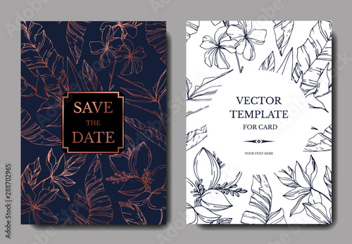 Vector Palm beach tree leaves. Black and white engraved ink art. Wedding background card floral decorative border.