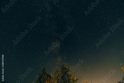Fototapeta Naklejka Na Ścianę i Meble -  Background of the night starry sky with treetops.