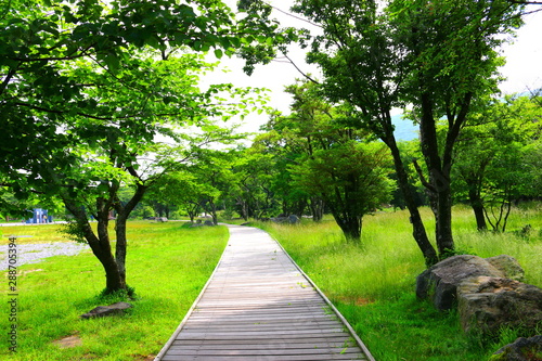 제주에 있는 한라산의 풍경이다 photo