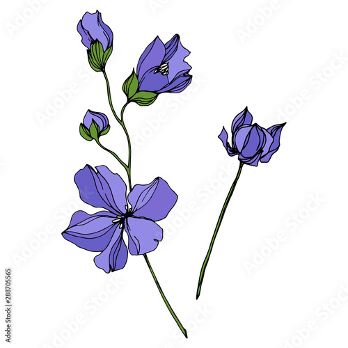 Fototapeta Naklejka Na Ścianę i Meble -  Vector Flax floral botanical flowers. Black and white engraved ink art. Isolated flax illustration element.