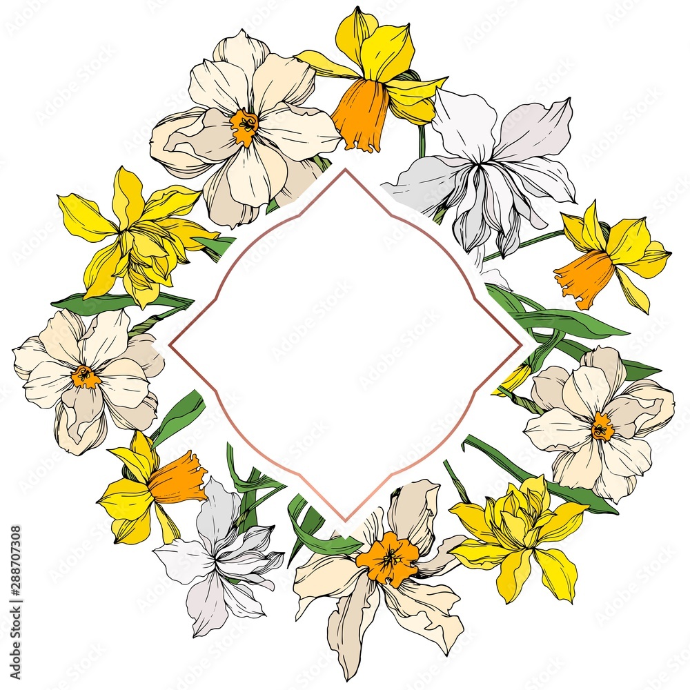 Obraz premium Vector Narcissus floral botanical flowers. Black and white engraved ink art. Frame border ornament square.