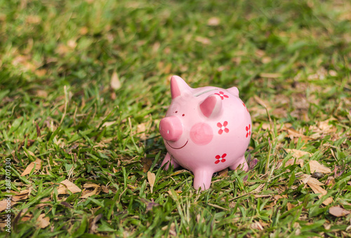 piggy bank bank sitting on grass 