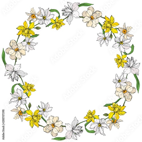 Vector Narcissus floral botanical flowers. Black and white engraved ink art. Frame border ornament square. © LIGHTFIELD STUDIOS