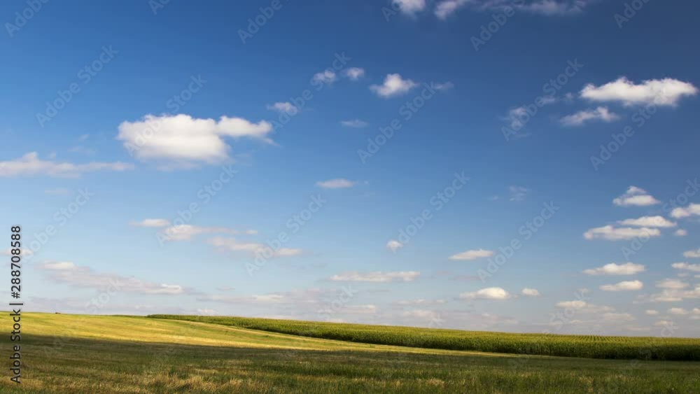 Summer field with grass on blue sky background. Summer field with grass on blue sky background.