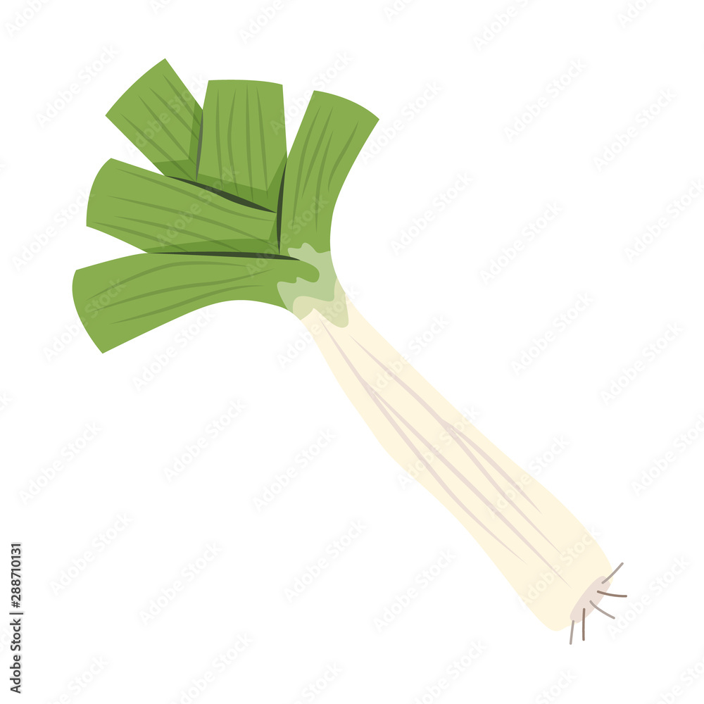 Leek green vegetable Leek green vegetable