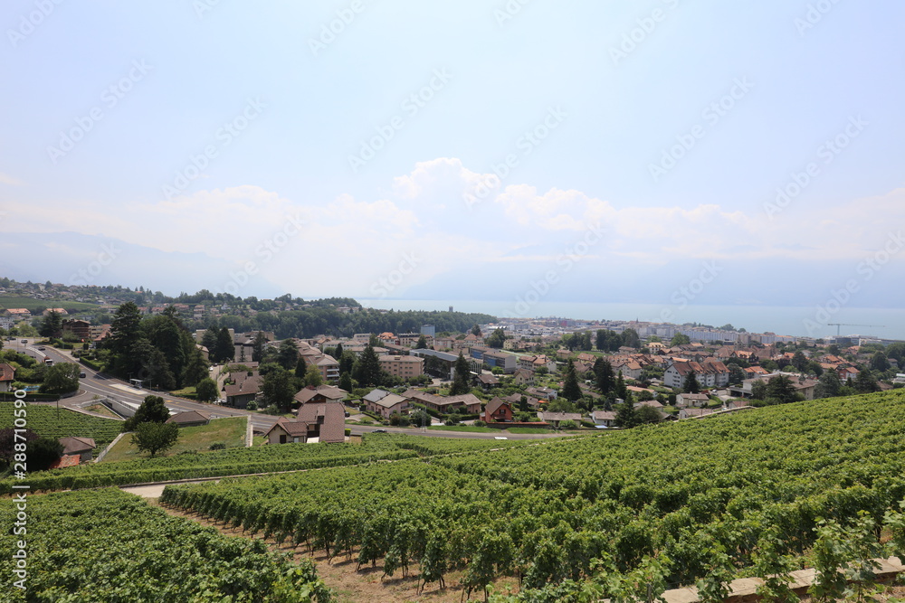 Fototapeta premium View on the Leman riviera in summer