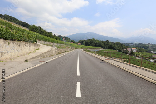 Road in-between the wine yards