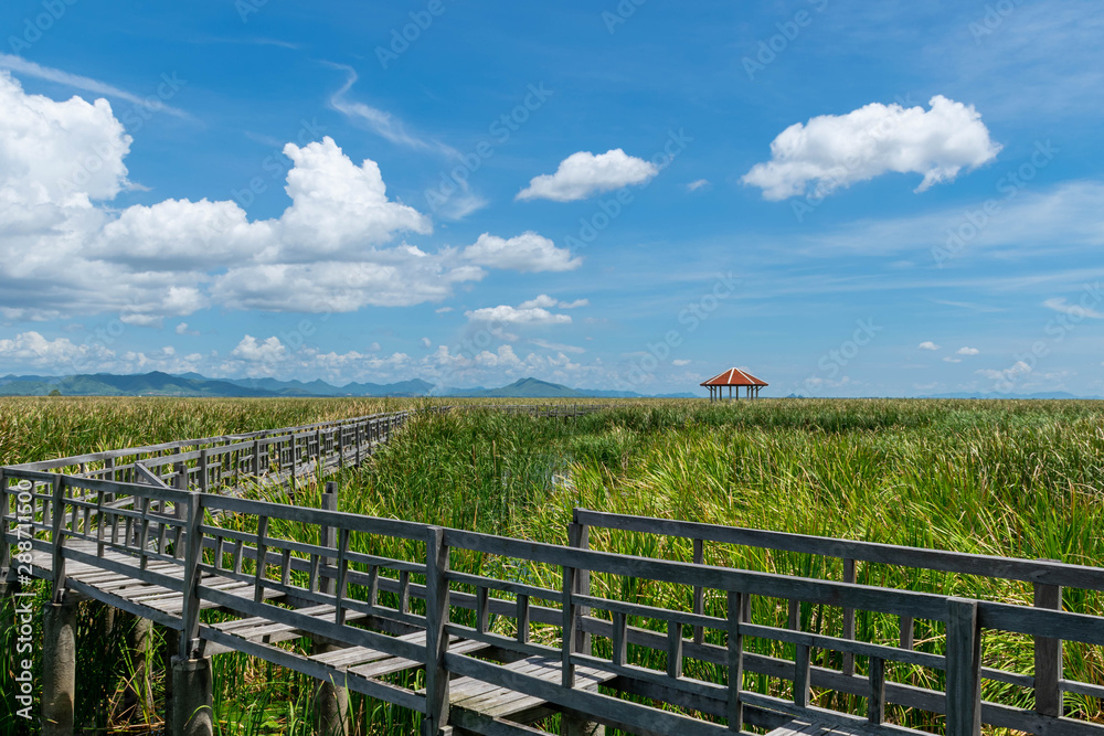 Fototapeta premium Wooden bridge over a lake with blue sky in Sam Roi Yod National Park, Prachuap Khiri Khan, Thailand
