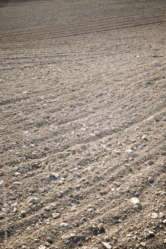 Plowed field view Plowed field view
