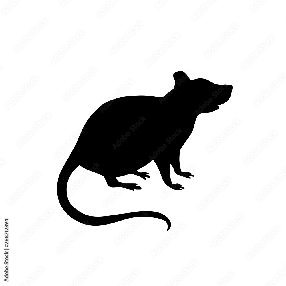 Rat. Black silhouette on white background