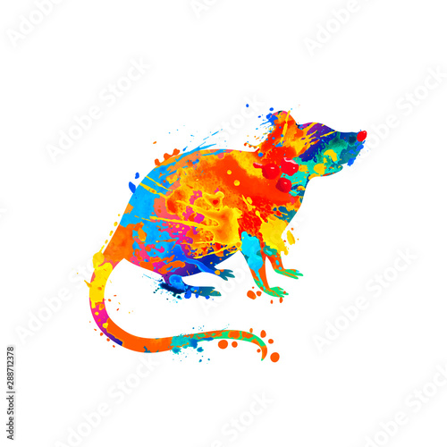 Rat. Silhouette of splash paint