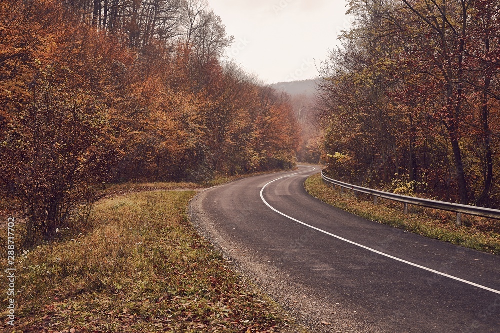 Fototapeta premium Autumn road leading through the woods