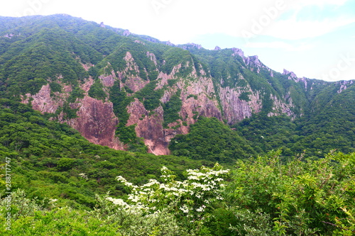 제주에 있는 한라산의 풍경이다 photo