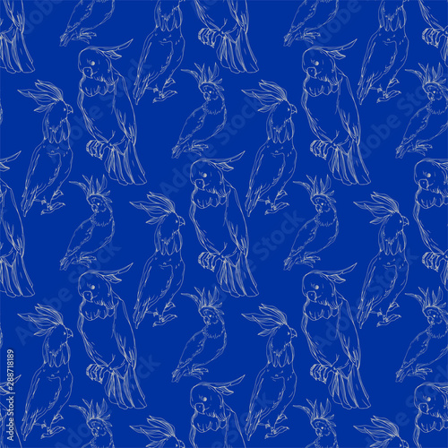 Vector Sky bird cockatoo in a wildlife. Black and white engraved ink art. Seamless background pattern.