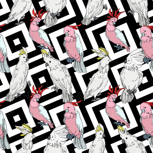 Vector Sky bird cockatoo in a wildlife. Black and white engraved ink art. Seamless background pattern.