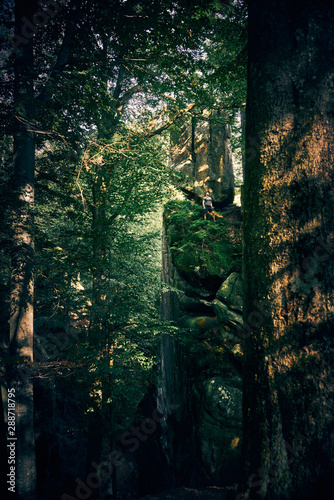 Man alone in the nature