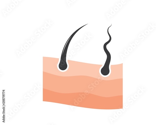hair root icon vector illustration design