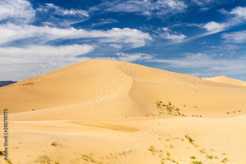 Huge dunes of the desert. Beautiful structures of sandy barkhans. Fine place for photographers and travelers. Mongolia.