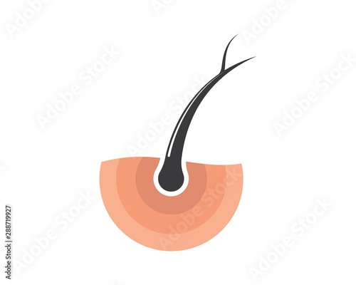 hair root icon vector illustration design
