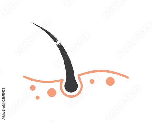 hair root icon vector illustration design
