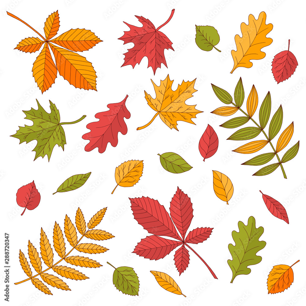 Bright set of autumn leaves Bright set of autumn leaves