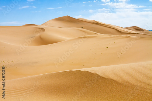 Huge dunes of the desert. Beautiful structures of sandy barkhans. Fine place for photographers and travelers. Mongolia.