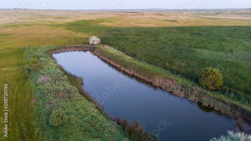 Nebraska wetland and livestock pond with moss and algae. © Phyre Sky